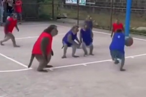 起猛了，竟然看到一群猴哥打籃球！現(xiàn)在AI這么逼真了嘛